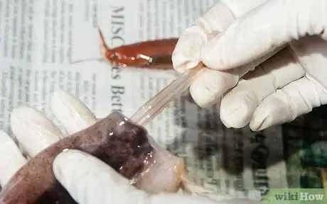 Image titled Clean and Prepare a Squid to Make Calamari Step 5