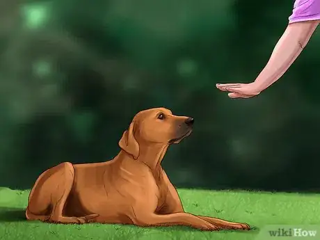 Image titled Care for a Rescued Dog Step 6