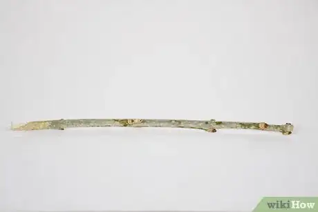 Image titled Make Kitten Toys Step 03