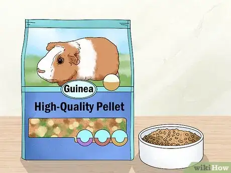 Image titled Keep Your Guinea Pigs Healthy Step 1