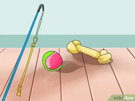 Image titled Keep Your Dog Comfortable Outdoors Step 4