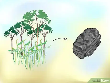 Image titled Learn About Sedimentary Rocks Step 2Bullet1