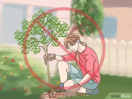 Image titled Choose Plants for Good Feng Shui Step 6