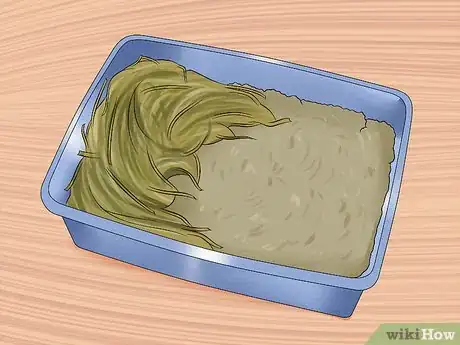 Image titled Care for Jersey Wooly Rabbits Step 4