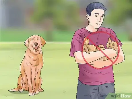 Image titled Enhance Your Dog's Recall Step 2