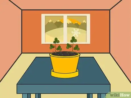 Image titled Grow Strawberries in a Pot Step 13