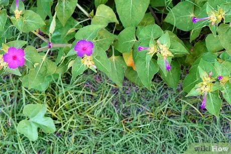Image titled Reuse Broken Stemware As Garden Candle Holders Step 4
