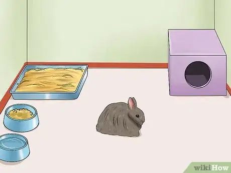 Image titled Care for Jersey Wooly Rabbits Step 6