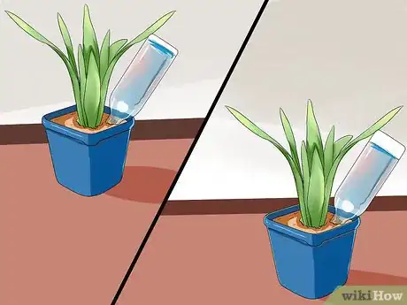 Image titled Water Plants While You're Away Step 6