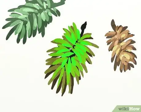 Image titled Survive Alone in the Woods with Nothing but a Hatchet Step 7