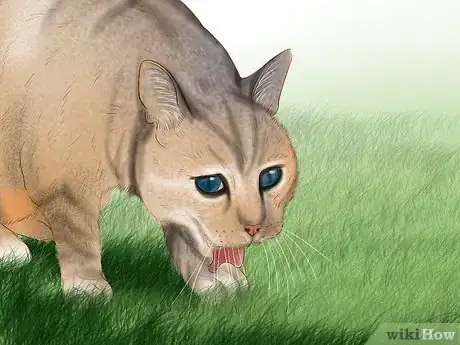 Image titled Give Cat Grass to a Cat Step 16