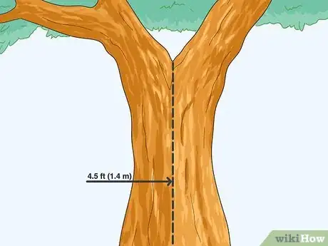Image titled Measure Tree Size Step 4