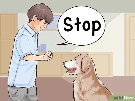 Image titled Involve Your Kids in Selecting a Dog Step 12