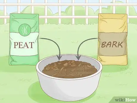 Image titled Grow Miracle Berries Step 4