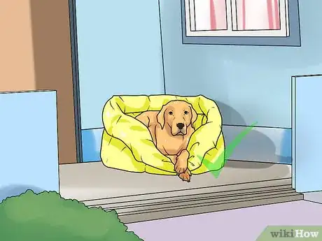 Image titled Keep Your Dog Comfortable Outdoors Step 2