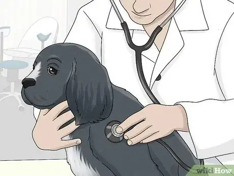 Image titled Treat Lameness in Dogs Step 14