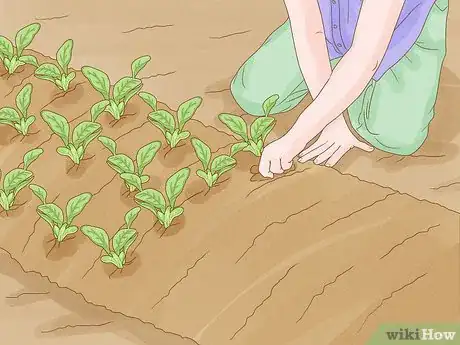 Image titled Start a Permaculture Farm Step 13