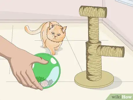 Image titled Buy Necessary Supplies for Your New Cat Step 6
