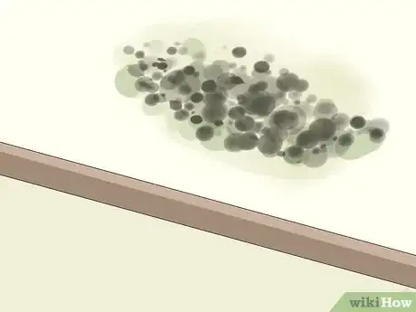 Image titled Remove Ceiling Mold Step 5