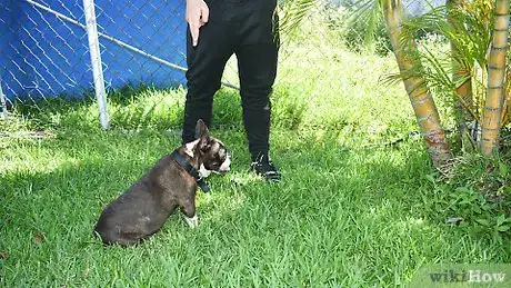 Image titled Make a Dog Stand Up Step 6