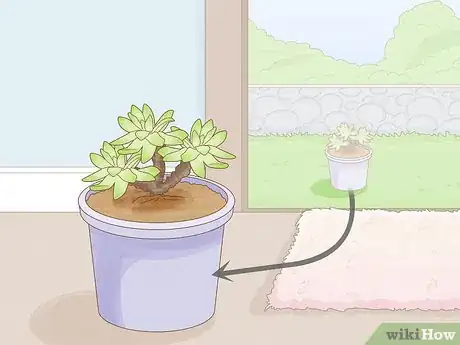 Image titled Cover Plants in the Winter Step 7