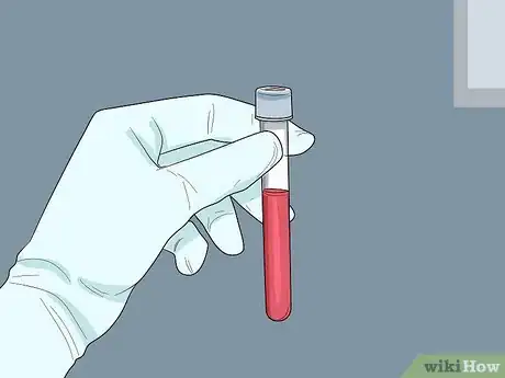 Image titled Treat Pneumonia in Doves Step 6