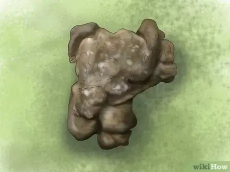 Image titled Pick a Healthy Adult Dog Step 8