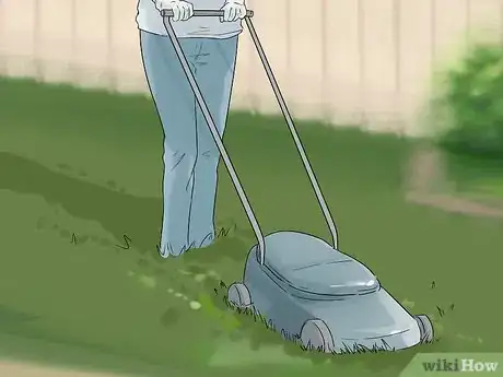 Image titled Prevent a Dog and Cat Tapeworm Infection (Dipylidium Infection) Step 6