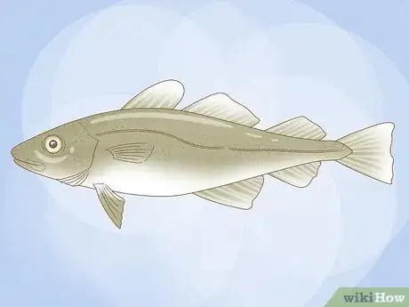 Image titled Eat Fish Sustainably Step 6