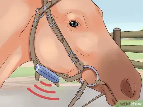 Image titled Deliver a Foal Step 5