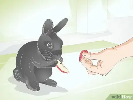 Image titled Choose Rabbit Treats Step 3
