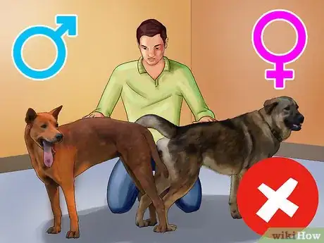 Image titled Perform Pre‐Breeding Health Checks for Dogs Step 13
