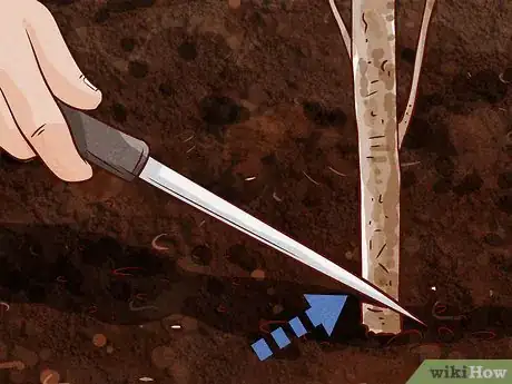 Image titled Make Cinnamon Step 13