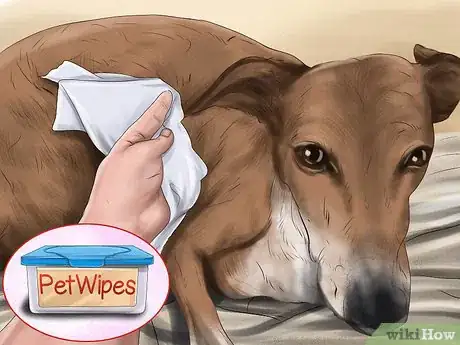 Image titled Use Dog Pheromone Products Step 5