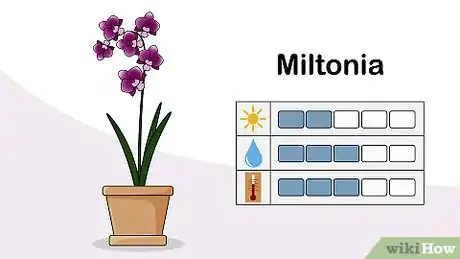 Image titled Choose an Orchid Plant Step 3