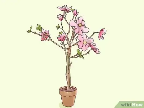 Image titled Choose Plants for Good Feng Shui Step 2