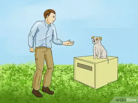 Image titled Teach a Small Dog to Lie Down on Command Step 7