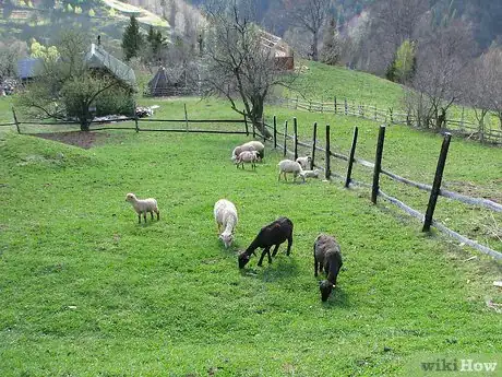 Image titled Become a Farmer at Fifty Step 2