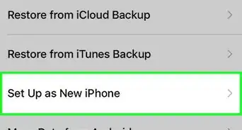Clear History on an iPhone