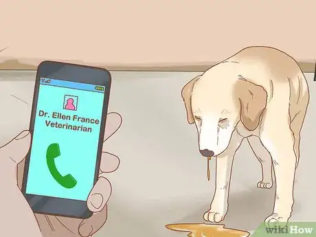 Image titled Care for Your Older Dog Step 16