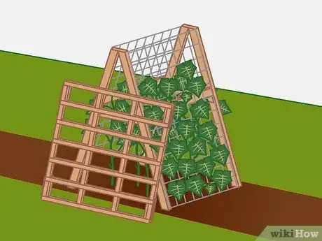 Image titled Choose Vegetables to Grow Step 07