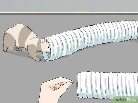 Image titled Let Your Ferret Out of Its Cage Step 10