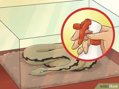 Image titled Care for a Shedding Snake Step 3