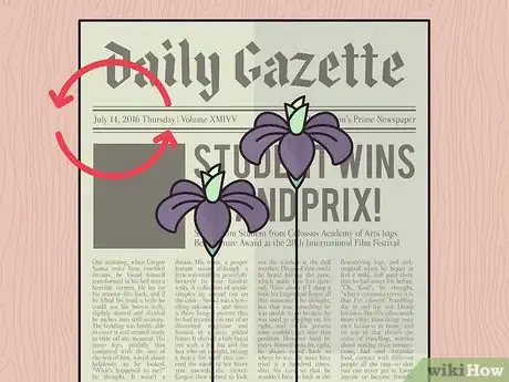 Image titled Store Iris Bulbs Step 11