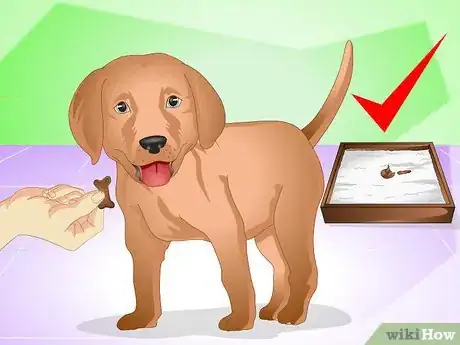 Image titled Discipline a New Puppy Step 4