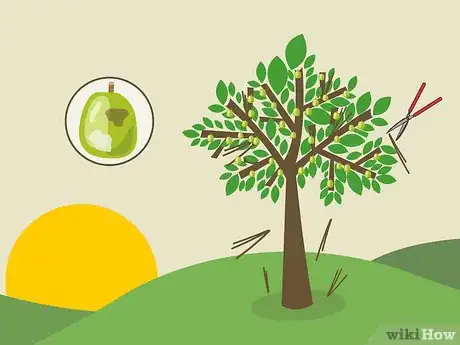 Image titled Prune Guava Trees Step 8