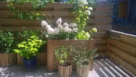 Image titled 1yearlater