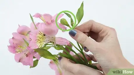 Image titled Make a Bouquet Step 6