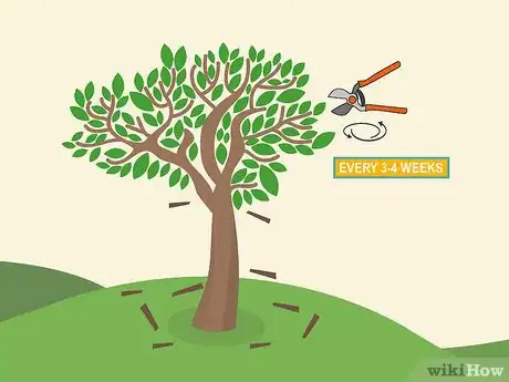 Image titled Prune Brugmansia Step 09