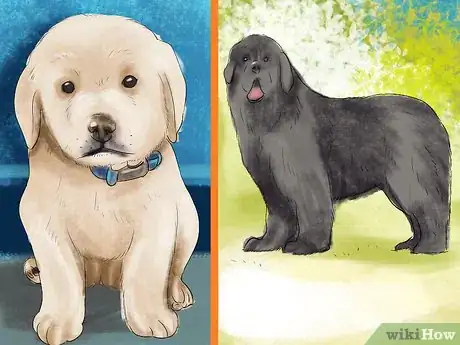 Image titled Bring Up a Loyal Dog Step 2